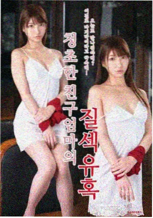 珊瑚共生关系图鉴配图